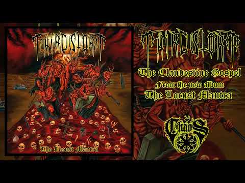 THIRD STORM  - The Clandestine Gospel (Album track)
