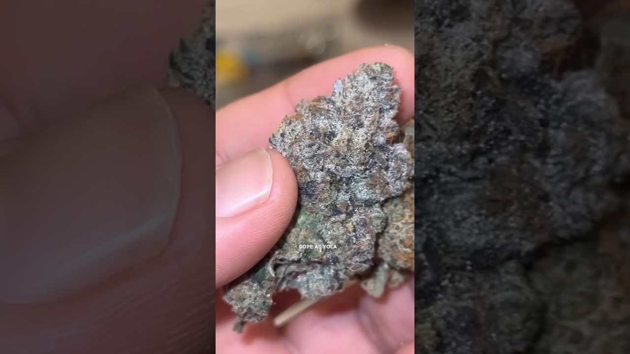 Top Shelf Choices 👍🏽🌲🔥💨 #420