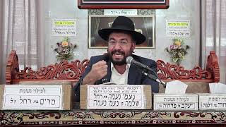 הרב מיכאל רביע | פרשת פנחס | מוסאיוף | תשפ"ה
