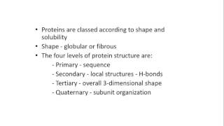 Proteins 1