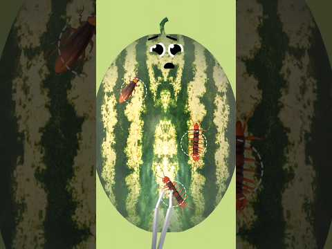 Treatment Watermelon 😭😱 #shorts #asmr #fruitsurgery #psiko