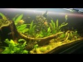 Ragner hat ein neues Video zu seinem Beispiel Südamerika 500L hochgeladen.