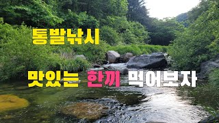 최상류 계곡에서 통발로 고급어종 잡아서 맛있는 한끼 먹어보자