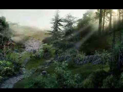 VIDA PRESTADA EXTERMINADOR