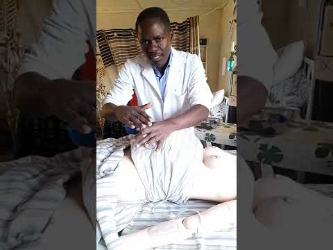 Abdominal examination