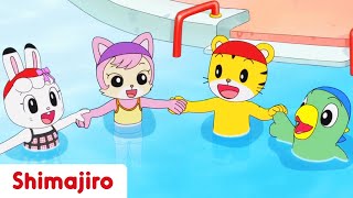 Ready for pool season? | Full Episode #66 | Shimajiro
