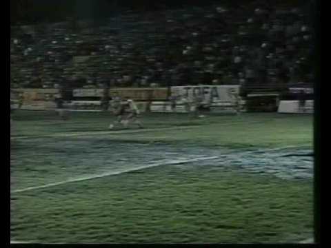 Grêmio Campeão Gaúcho 1993