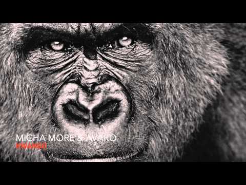 Micha Moor & Avaro - Kwango (Original Mix)