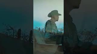 Sueños Con Alas #espinozapaz #musica #musicamexicana #mexico #amor #desamor #shorts #tiktok #2023