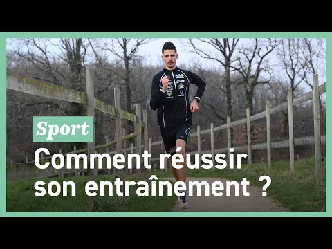 Cross: the secrets of the Brittany champion for successful training