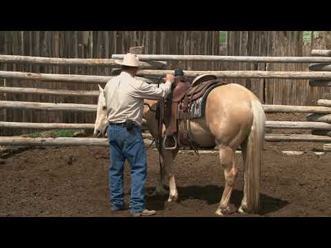 Ken McNabb: Colt Starting (Part 7 of 7) - The Second Ride