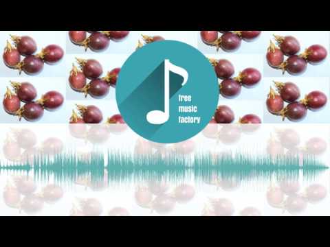 Sixfingerz - Vodkaville Sixfingerz Remix  | Free Music Factory