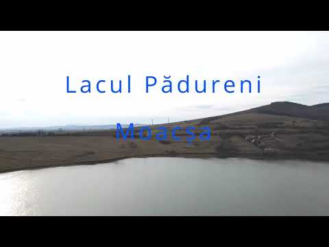 Lacul Pădureni,Moacșa