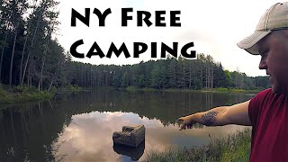 Isolated New York State Forest Camping