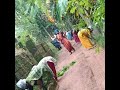 Nilavilakku Kudumbashree Cleaning Public Areas