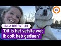 Linda Breekt Uit #4: Lapland ligt in Epe! Sleeën met husky's op de Veluwe en ijsklimmen.