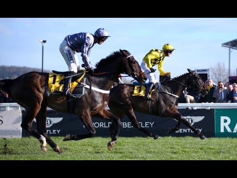 2020 UK Cheltenham Gold Cup Full Coverage