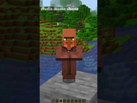 🍀 Lucky Gaming Ankit - Epic PILLAGER kindness in Minecraft!