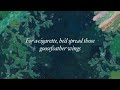 Rabbitology Who Shot The Bird Boy Official Lyric Video