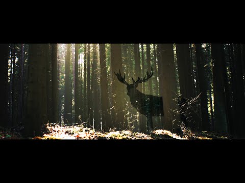 Wodymidaj - Kwiat Jabłoni ft. Ralph Kaminski (Unofficial Music Video) (ENG/PL Subtitles/Napisy)