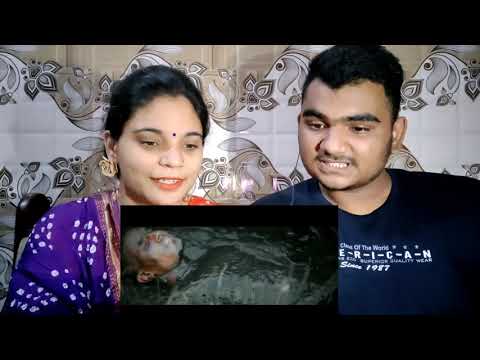 Dream Maroon , PARA SF , Training , Reaction , The Mini Wings