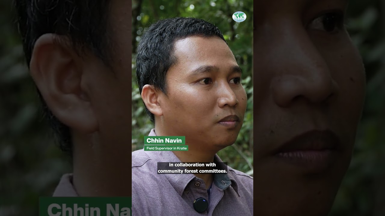 How microcredit is empowering forest communities in Cambodia