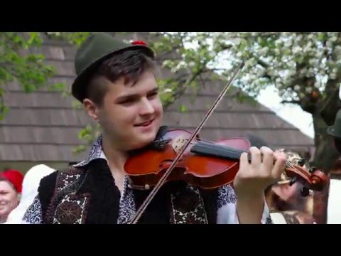 Vasile Mucea - Sadăul