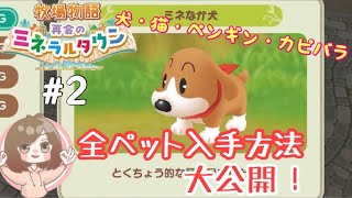 【牧場物語 再会のミネラルタウン】全ペットの入手方法大公開！【switch】