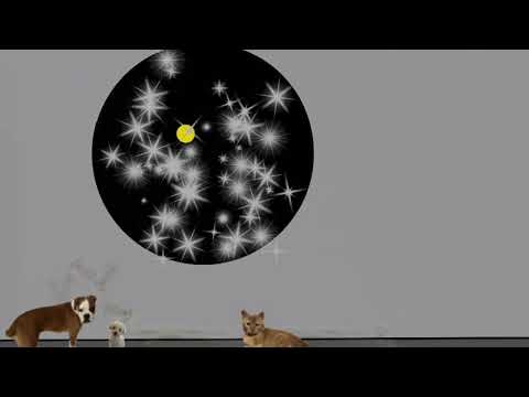 Powerful pets episode two chameleon chaos trailer