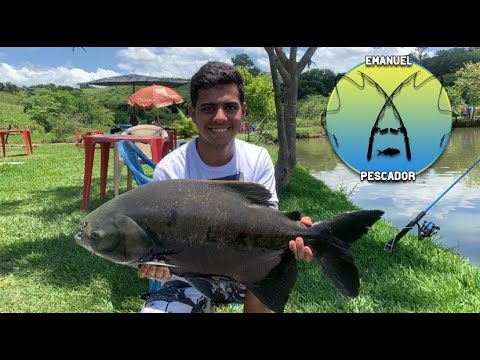 FIQUEI DE CARA COM TANTO PEIXE NESSE PESQUEIRO!!!! Pescaria no Pesqueiro rancho fortaleza.