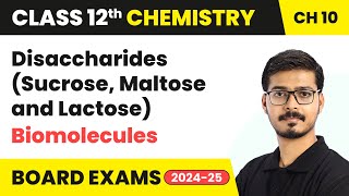 Disaccharides (Sucrose, Maltose and Lactose) - Biomolecules | Class 12 Chemistry Chapter 10 | CBSE