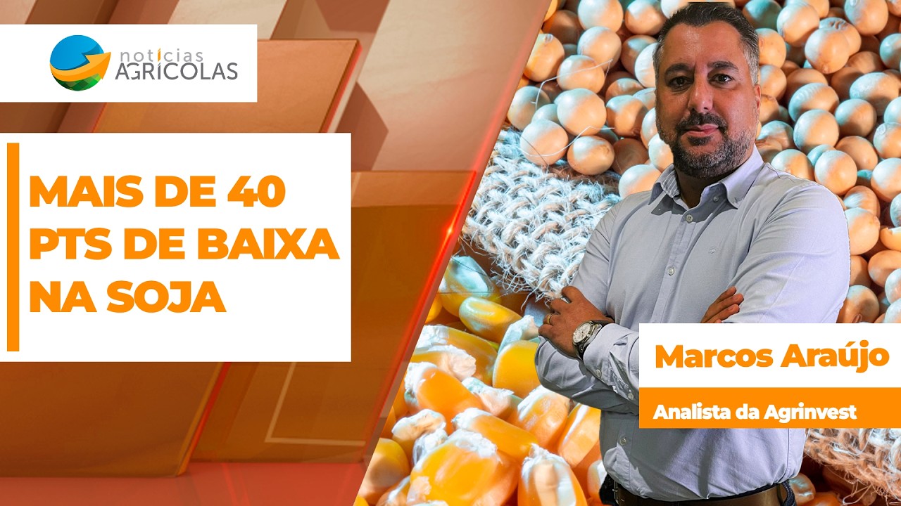 MERCADO DE GRÃOS - EDIÇÃO 27-07-2026