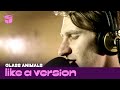 Glass Animals - Gooey (live on triple j) 