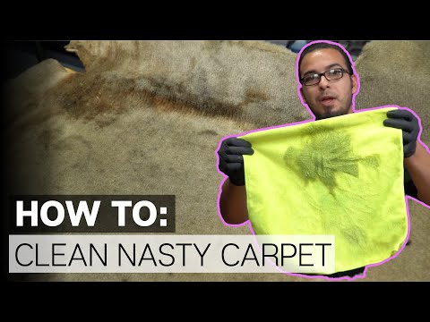 How To Clean 15 Year Old Nasty Stained Carpet! - Chemical Guys