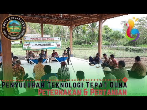 Penyuluhan Peternakan & Pertanian Desa Kedunggede 2023