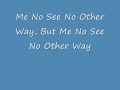 see it no other way by slightly stoopid with lyrics