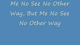 see it no other way by slightly stoopid with lyrics