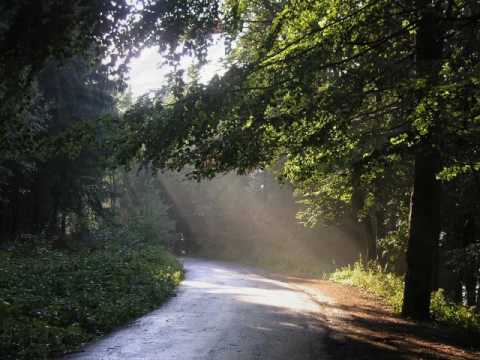 The Photograph - The Chapmans