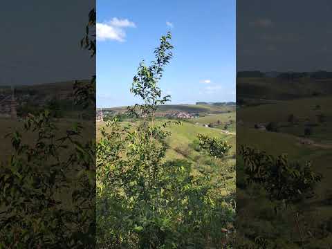 paisagem da cidade de xexéu Pernambuco