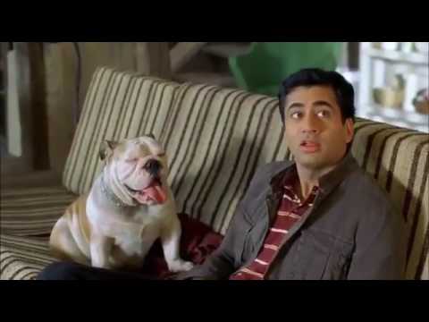 national lampoon van wilder trailer youtube national lampoon van wilder trailer youtube