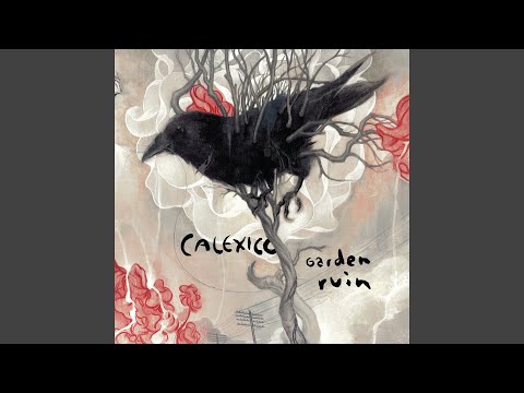Panic Open String - Calexico