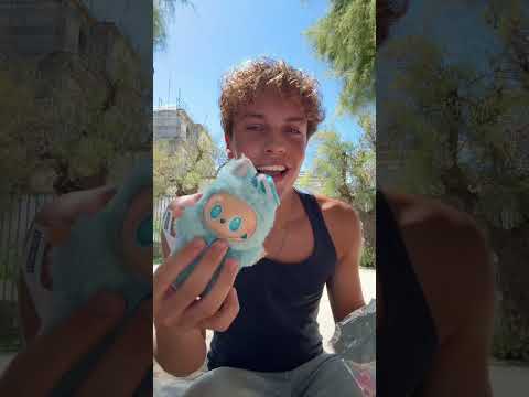 Buying a lafufu for the meme is THE new trend!