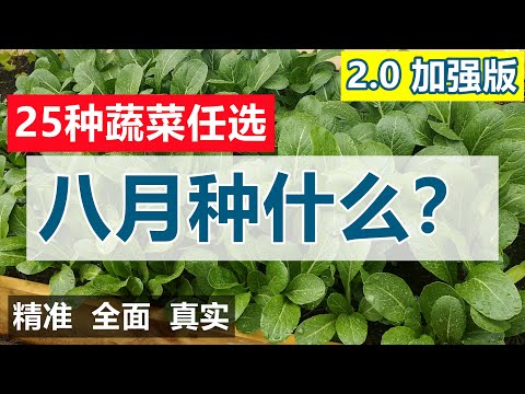, title : '8月种什么菜? 2021加强版 What to grow in August'
