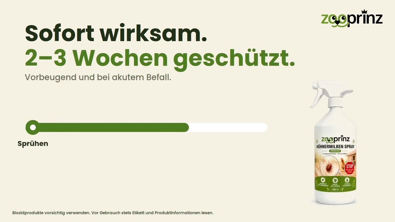 Videovorschau