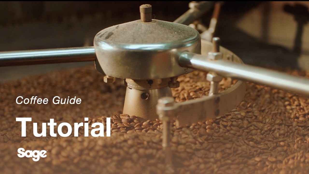 Choosing the right beans