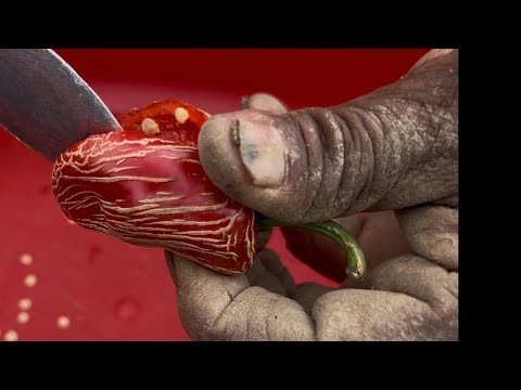 No es Suiza 🇨🇭 es La Misión Hidalgo