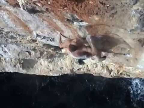 Psicobloc Mallorca 2004