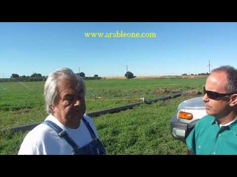 Grower Testimonial — ArableONE™