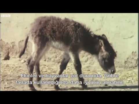 Ankara Gölbaşı Oğulbey Köyü