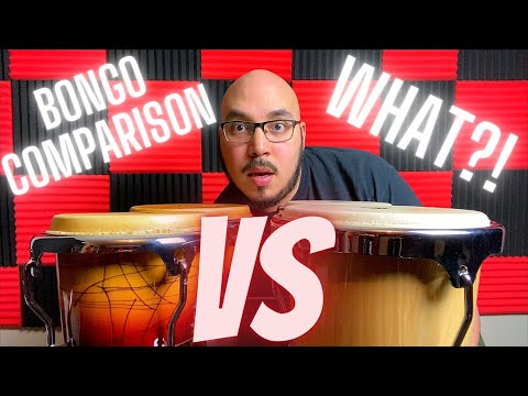 Beginner Bongos VS Professional Bongos | Bongo Comparison